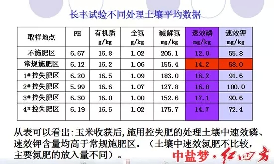 長豐實驗土壤處理對比圖，控失肥同樣取得好成績。