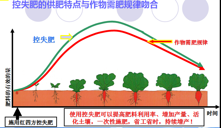 控失肥供肥特點(diǎn)