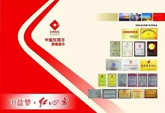 中鹽紅四方技術(shù)創(chuàng)新優(yōu)勢突顯