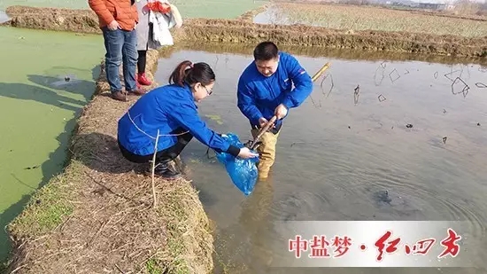 然而，要想蓮藕“含金量”和產(chǎn)量名列前茅，需要定期施肥管理，為此，我產(chǎn)生了為花香藕量身定制專用配方的念頭，于是，就有了開頭藕塘取土采樣的畫面。